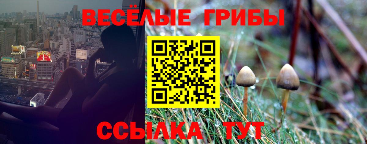 Псилоцибиновые грибы ЛСД Когалым